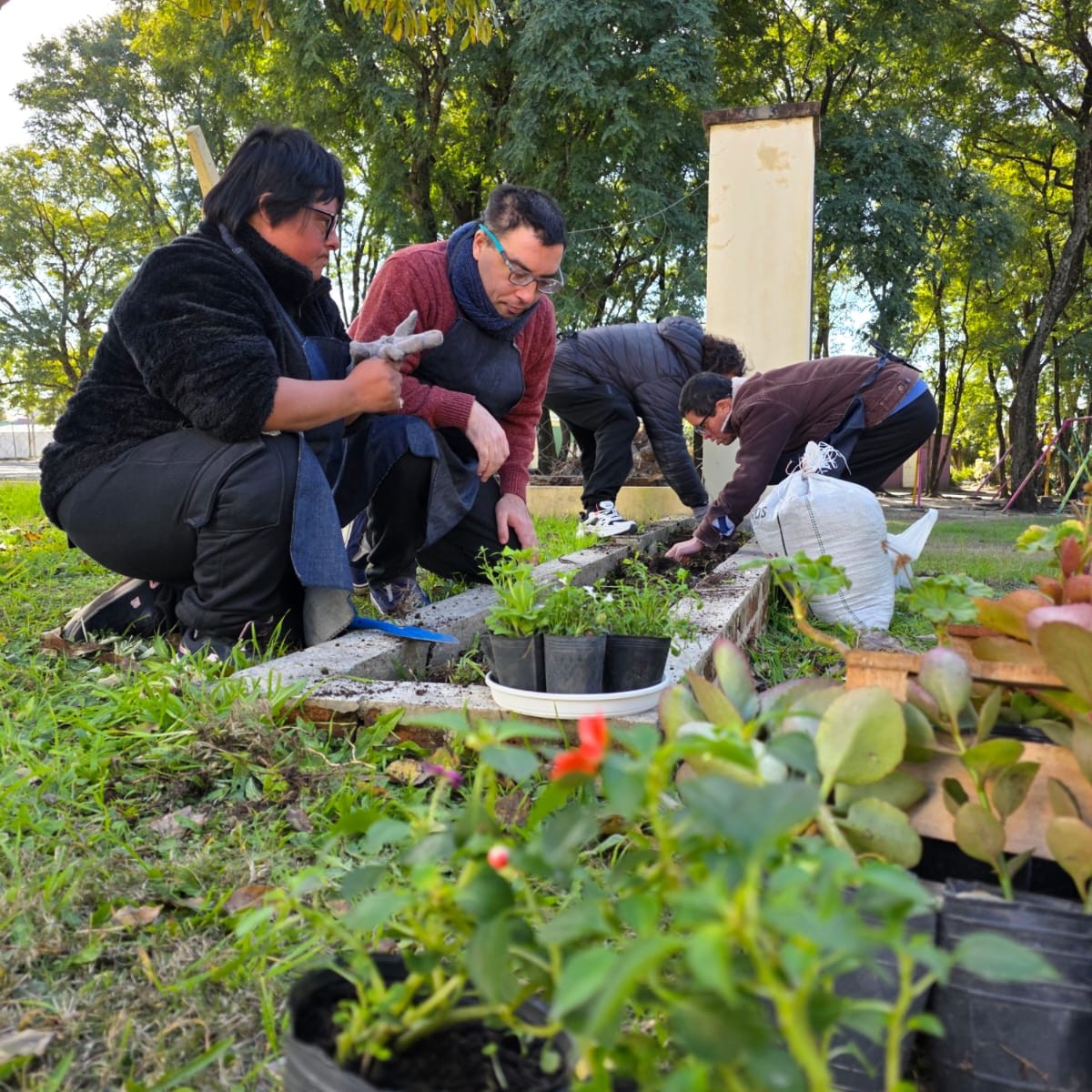 Jóvenes del Área de Discapacidad embellecieron el CIC del barrio Presidente Perón con plantines de su propia huerta